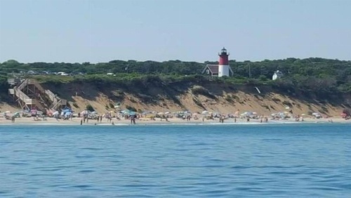#453 - On the Cove image 3